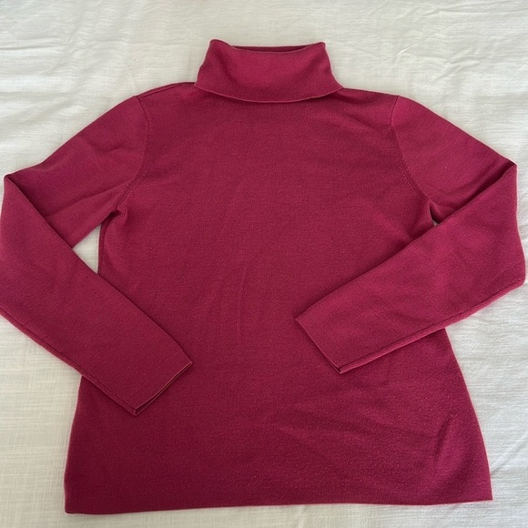 LOFT Fusica Turtleneck Sweater - Wool & Cashmere blend - Picture 1 of 4